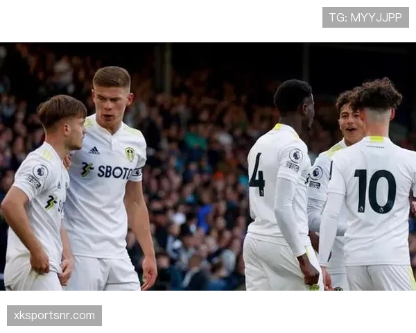 拉菲尼亚关键战表现稳定性与战术适配性分析